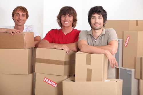Careful transport of boxes and household items by a man with van team