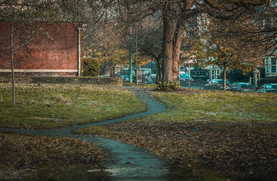 A winding pathway through a small grassy area in a park near Clissold Park, with scattered fallen leaves covering the ground. In the background, there are large trees with branches extending overhead and a mix of autumn foliage and bare branches. A brick building is partially visible on the left, while behind the trees, a parking lot with multiple cars can be seen, enclosed by a metal fence. The scene is illuminated by natural daylight, possibly in the late afternoon. This outdoor setting suggests the initial stages of home relocation or furniture transport, with Man with Van Stamford Hill likely preparing for the loading process of move-related objects or equipment near the property perimeter.